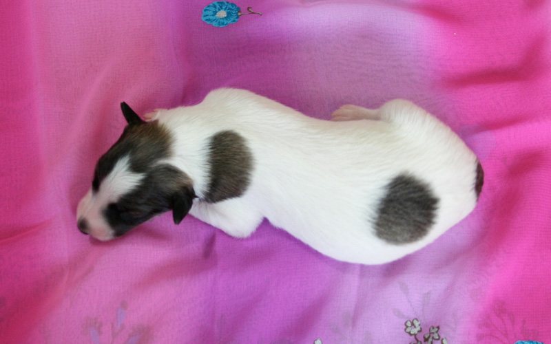 Surf Spots - Girl 2 Top